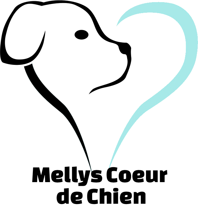 Logo Mellys noir