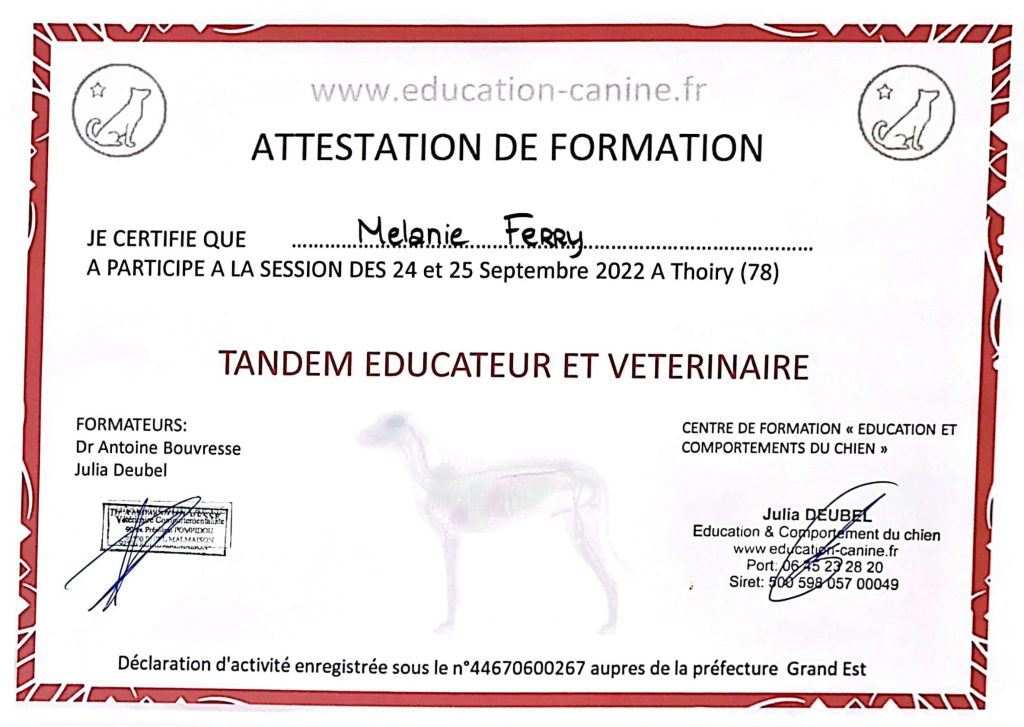 Attestation formation tandem