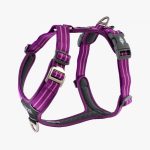 air violet