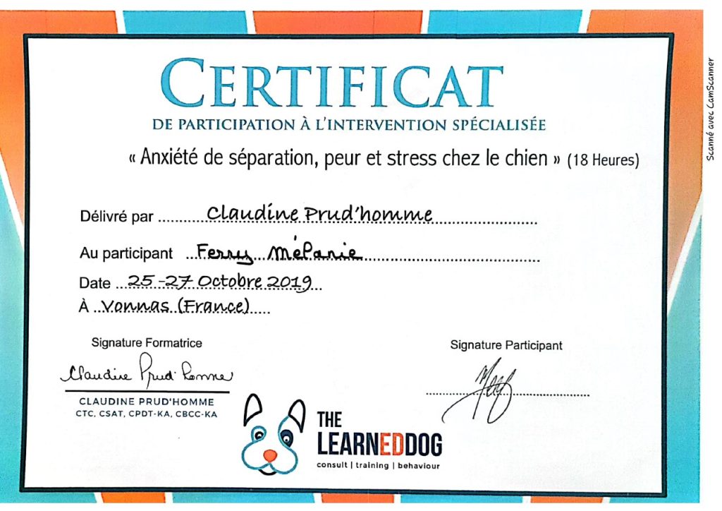certificat anxiete